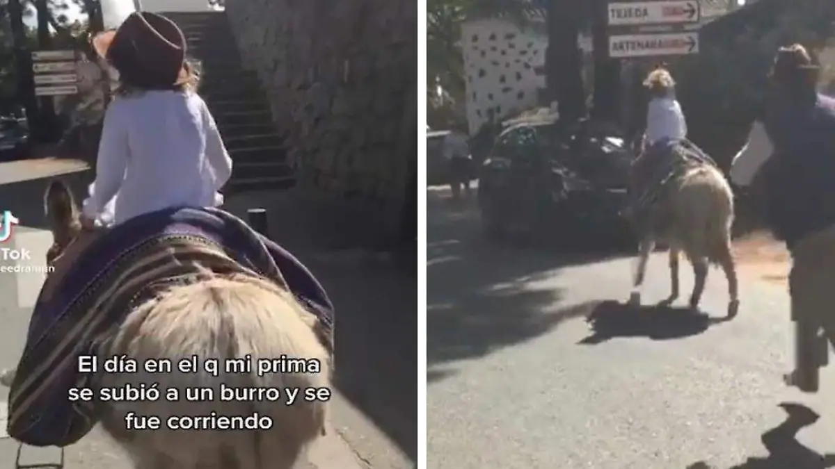 El susto de esta niña cuando el burro en el que pasea echa a correr de repente